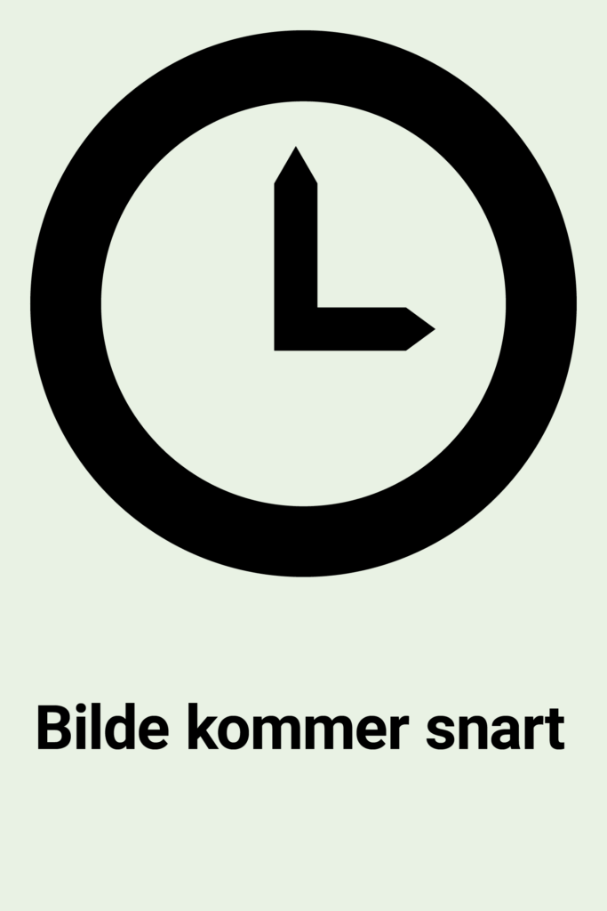 portrett-kommersnart-683x1024